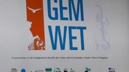 44859960_1900922536688021_1146312920032870400_n