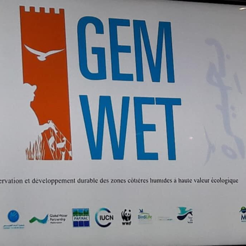 44859960_1900922536688021_1146312920032870400_n