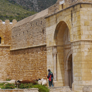 Tunisie-fort-palais-patrimoine-berger.JPG