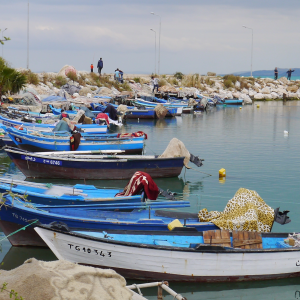Tunisie-port-peche-plaisance-villegiature.JPG